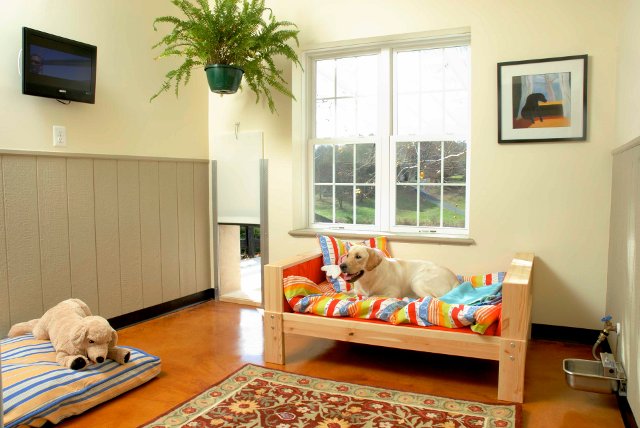 Suites for Dogs at Mountain Run Kennel